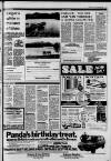 Croydon Advertiser and East Surrey Reporter Friday 30 July 1982 Page 17