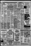 Croydon Advertiser and East Surrey Reporter Friday 27 August 1982 Page 11