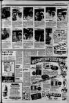 Croydon Advertiser and East Surrey Reporter Friday 10 September 1982 Page 17