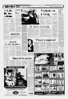Croydon Advertiser and East Surrey Reporter Friday 03 April 1987 Page 17