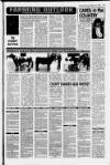 Ayrshire Post Friday 12 October 1990 Page 99