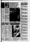 Ayrshire Post Friday 19 February 1993 Page 91