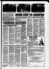 Ayrshire Post Friday 22 October 1993 Page 95