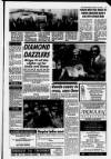 Ayrshire Post Friday 29 October 1993 Page 17