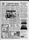 Cheshunt and Waltham Mercury Friday 31 October 1986 Page 17