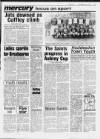 Cheshunt and Waltham Mercury Friday 28 November 1986 Page 99