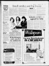 Cheshunt and Waltham Mercury Friday 06 February 1987 Page 17