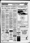 Cheshunt and Waltham Mercury Friday 19 January 1990 Page 29