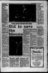 East Grinstead Observer Thursday 06 November 1980 Page 3