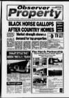 East Grinstead Observer Wednesday 10 November 1993 Page 19