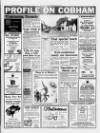 ADVERTISING FEATURE ESHER NEWS AND MAIL SERIES MARCH 20 1991 into (SUl Spring Spring Cobham 868404866398 NATUREWORLD PET SHOPS 3