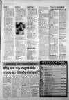 Esher News and Mail Wednesday 18 August 1993 Page 29