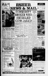 Esher News and Mail