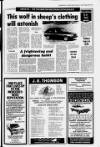 Irvine Herald Friday 14 March 1980 Page 51