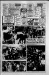 Irvine Herald Friday 01 April 1988 Page 61