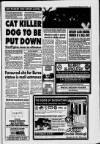 Irvine Herald Friday 18 February 1994 Page 3