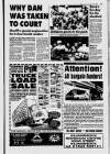 Irvine Herald Friday 30 June 1995 Page 19