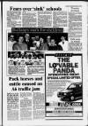 Stockport Express Advertiser Thursday 10 March 1988 Page 17
