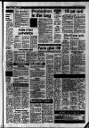 Caterham Mirror Thursday 01 September 1988 Page 17
