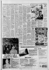 Caterham Mirror Thursday 18 November 1993 Page 13