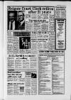 Dorking and Leatherhead Advertiser Friday 03 January 1986 Page 15