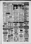 Dorking and Leatherhead Advertiser Friday 17 January 1986 Page 19