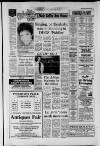 Dorking and Leatherhead Advertiser Friday 21 March 1986 Page 17