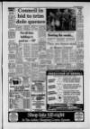 Dorking and Leatherhead Advertiser Friday 09 May 1986 Page 3