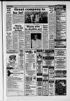 Dorking and Leatherhead Advertiser Friday 13 June 1986 Page 19