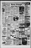 Dorking and Leatherhead Advertiser Friday 04 July 1986 Page 17
