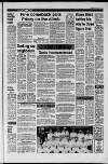 Dorking and Leatherhead Advertiser Friday 04 July 1986 Page 23
