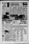 Dorking and Leatherhead Advertiser Friday 01 August 1986 Page 19