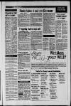 Dorking and Leatherhead Advertiser Friday 29 August 1986 Page 19