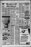 Dorking and Leatherhead Advertiser Friday 19 September 1986 Page 17