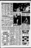 Dorking and Leatherhead Advertiser Friday 09 January 1987 Page 11