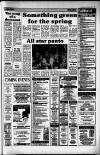 Dorking and Leatherhead Advertiser Friday 09 January 1987 Page 17