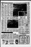 Dorking and Leatherhead Advertiser Friday 30 January 1987 Page 13