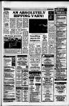 Dorking and Leatherhead Advertiser Friday 30 January 1987 Page 19