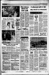 Dorking and Leatherhead Advertiser Friday 13 February 1987 Page 19