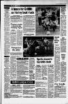 Dorking and Leatherhead Advertiser Friday 13 February 1987 Page 25