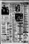 Dorking and Leatherhead Advertiser Friday 06 March 1987 Page 17