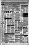 Dorking and Leatherhead Advertiser Friday 06 March 1987 Page 19