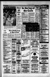 Dorking and Leatherhead Advertiser Friday 13 March 1987 Page 17
