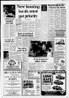 Dorking and Leatherhead Advertiser Thursday 03 December 1987 Page 3
