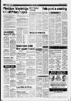 Dorking and Leatherhead Advertiser Thursday 23 June 1988 Page 19