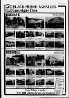 Dorking and Leatherhead Advertiser Thursday 21 July 1988 Page 37