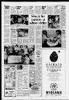 Dorking and Leatherhead Advertiser Thursday 08 September 1988 Page 3