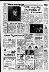 Dorking and Leatherhead Advertiser Thursday 24 November 1988 Page 8