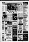 Dorking and Leatherhead Advertiser Thursday 12 January 1989 Page 13