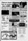 Dorking and Leatherhead Advertiser Thursday 02 November 1989 Page 13